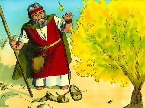 moses and the burning bush